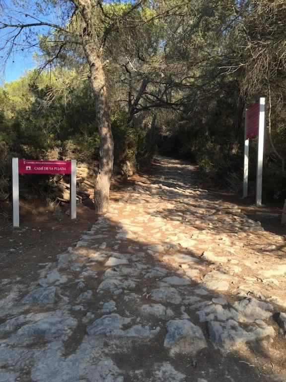 La Mundial Formentera Apartment Es Pujols Ngoại thất bức ảnh